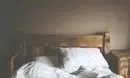 Comment se débarrasser de punaises de lit dans son logement ? comment se débarrasser de punaises de lit